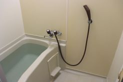 飾りのないシンプルな浴室です。綺麗に使用されています。