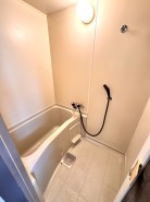 飾りのないシンプルな浴室です。綺麗に使用されています。