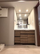 広い洗面化粧台。収納もタップリあります。