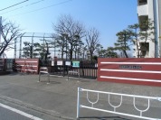 新宿小学校 
